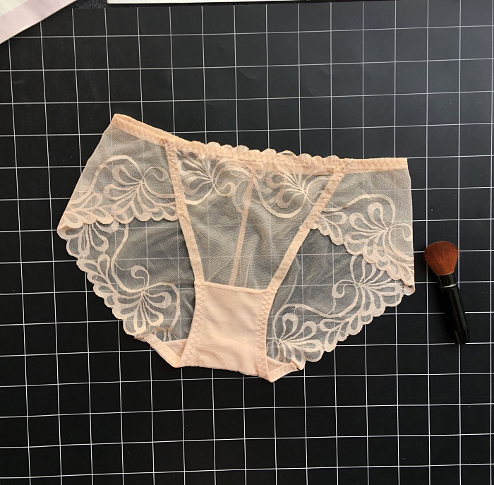 See Through Lace Panties with Low Waisted Design-Apricot-Theone Apparel