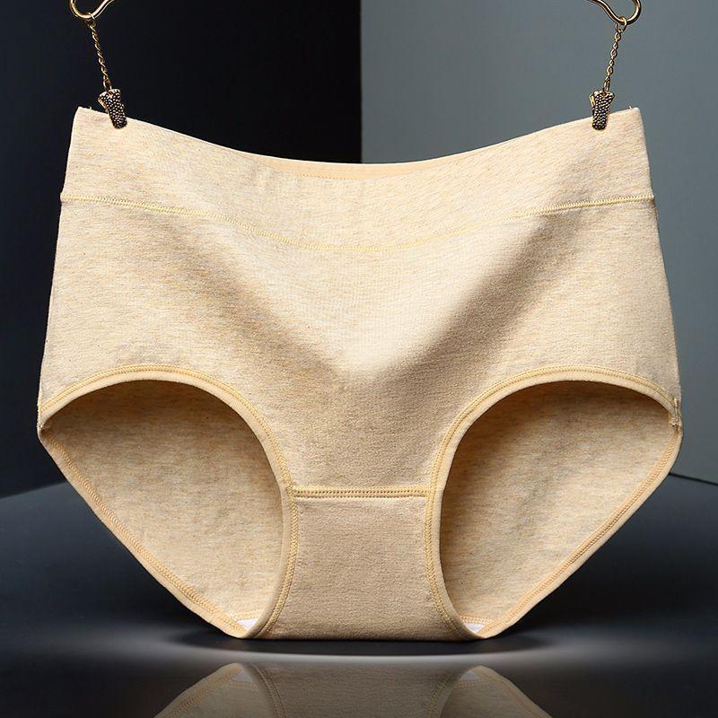 Supportive High Waist Brief Panty-Theone Apparel