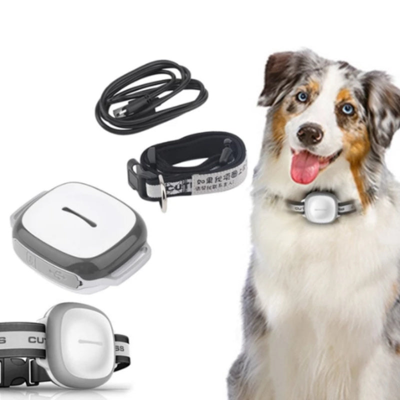 Collar Pet Tracker Locator For Cats And Small Dogs