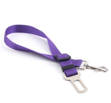 Duurzame polyester hondenriem met vaste riem voor dagelijkse wandelingen