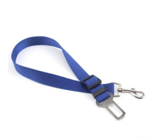 Duurzame polyester hondenriem met vaste riem voor dagelijkse wandelingen