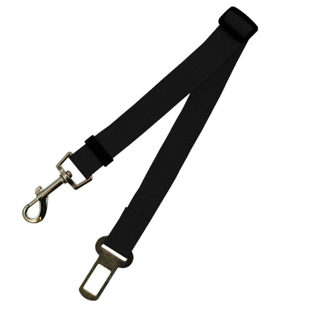 Duurzame polyester hondenriem met vaste riem voor dagelijkse wandelingen