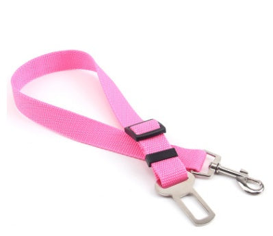 Duurzame polyester hondenriem met vaste riem voor dagelijkse wandelingen