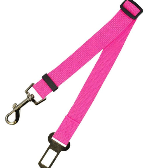 Duurzame polyester hondenriem met vaste riem voor dagelijkse wandelingen