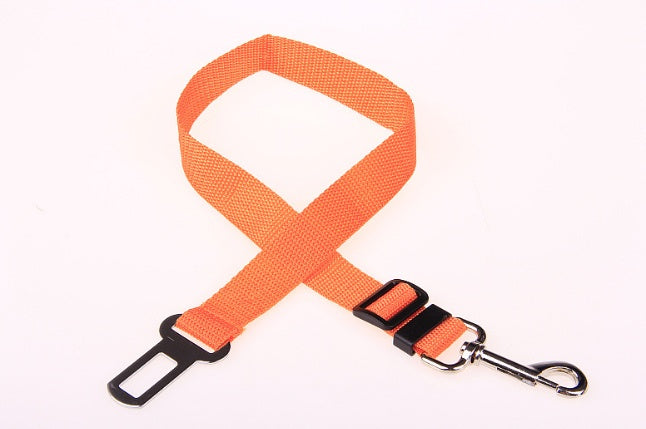 Duurzame polyester hondenriem met vaste riem voor dagelijkse wandelingen