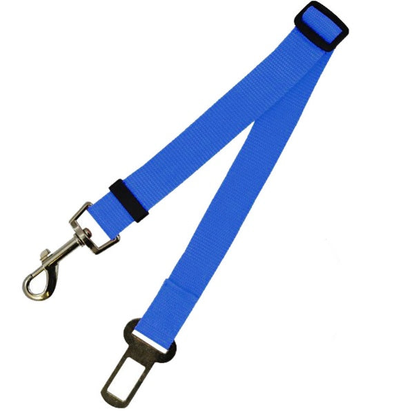 Duurzame polyester hondenriem met vaste riem voor dagelijkse wandelingen