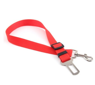 Duurzame polyester hondenriem met vaste riem voor dagelijkse wandelingen