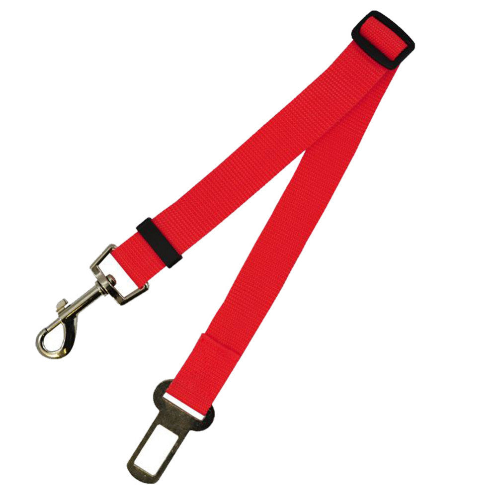 Duurzame polyester hondenriem met vaste riem voor dagelijkse wandelingen