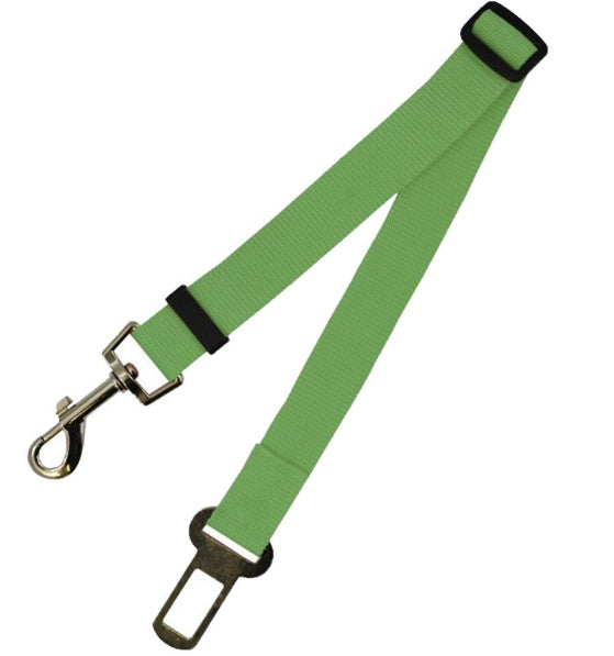 Duurzame polyester hondenriem met vaste riem voor dagelijkse wandelingen