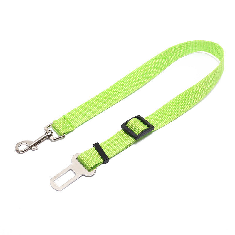 Duurzame polyester hondenriem met vaste riem voor dagelijkse wandelingen