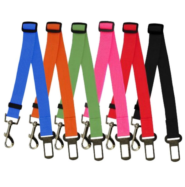 Duurzame polyester hondenriem met vaste riem voor dagelijkse wandelingen