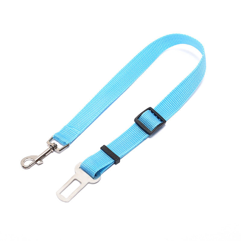 Duurzame polyester hondenriem met vaste riem voor dagelijkse wandelingen