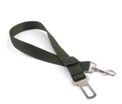 Duurzame polyester hondenriem met vaste riem voor dagelijkse wandelingen