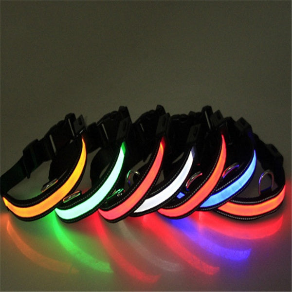 Fluorescent Dog Collar For Nighttime Visibility