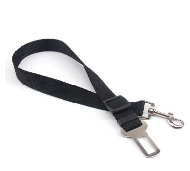 Duurzame polyester hondenriem met vaste riem voor dagelijkse wandelingen