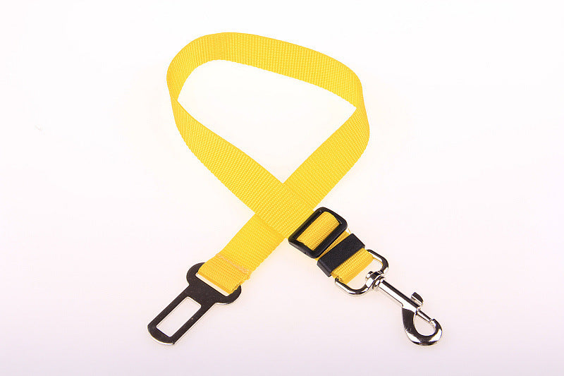 Duurzame polyester hondenriem met vaste riem voor dagelijkse wandelingen