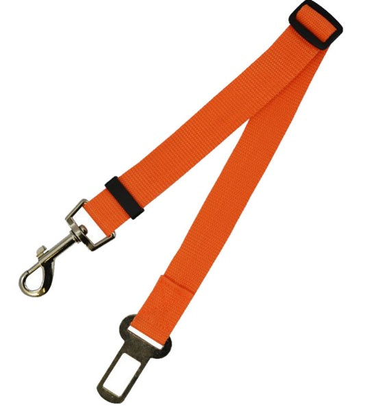 Duurzame polyester hondenriem met vaste riem voor dagelijkse wandelingen