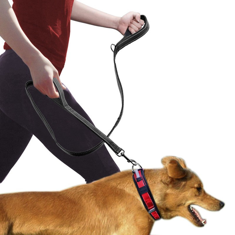 Double Handle Dog Leash For Extra Control And Safety