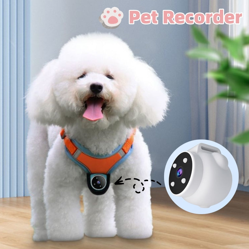 Pet Tracker Collar With Motion Recording Camera