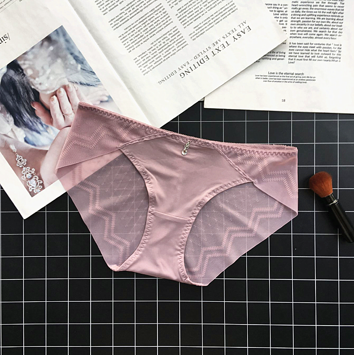 Classic Silky Briefs with Semi Transparent Back-Pink-Theone Apparel