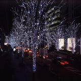 Fairy Decorative Solar Christmas Lights - Theone Apparel