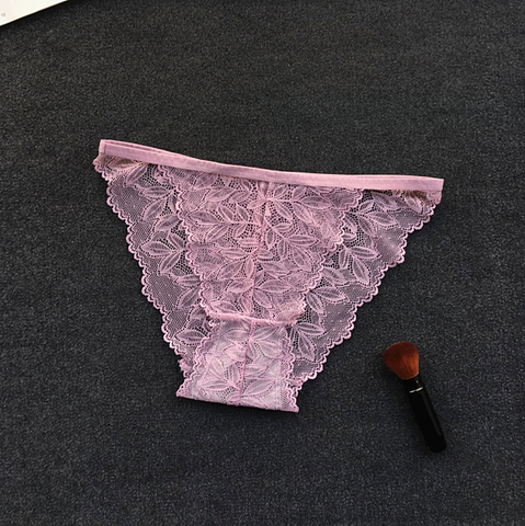 Semi See Through Lace Briefs Panties