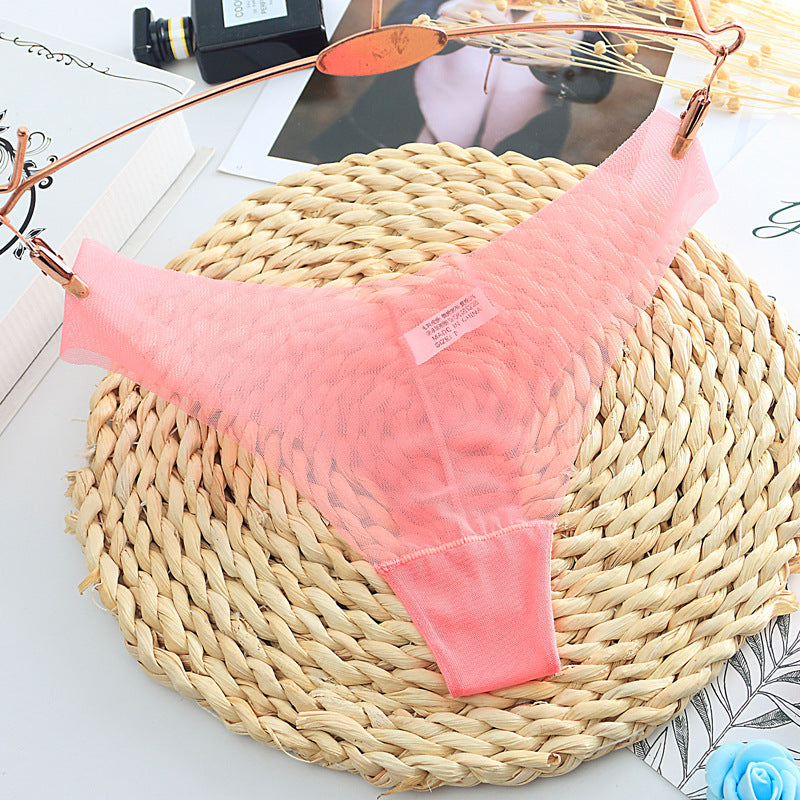 Racy Sheer Mesh Thong Panty